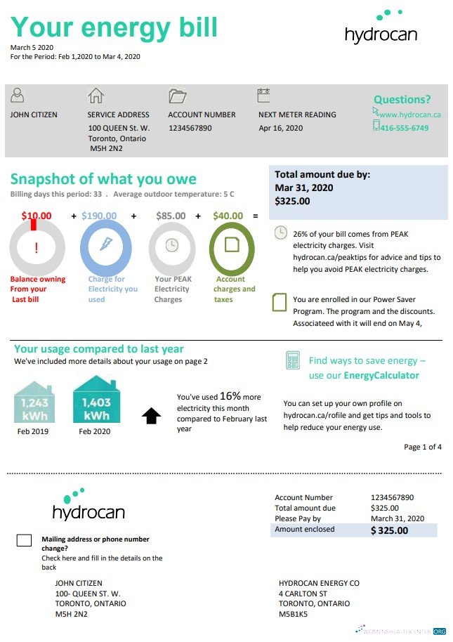 download USA Ontario Hydrocan electricity utility bill template in Word and PDF format PDF template